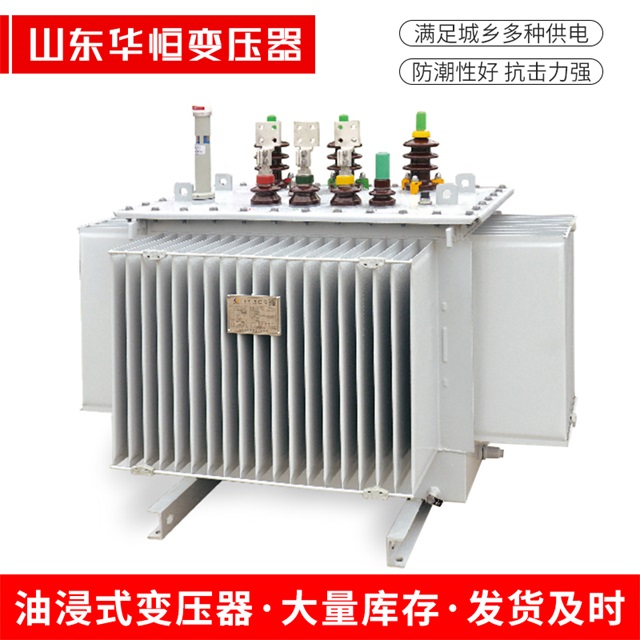 S13-10000/35屏边屏边屏边电力变压器